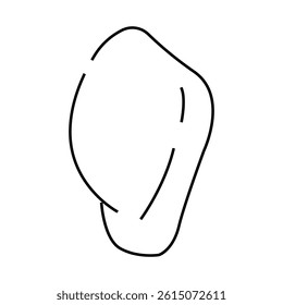 middle phalanx line icon vector. middle phalanx sign. isolated contour symbol black illustration