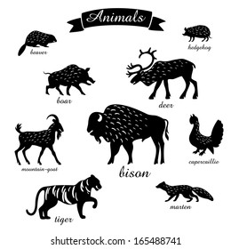 midland animals