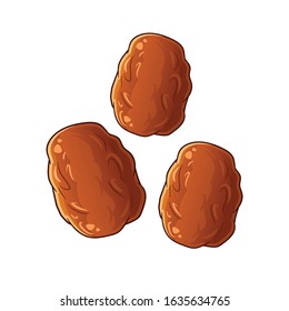 midle east date fruits. vector illustration