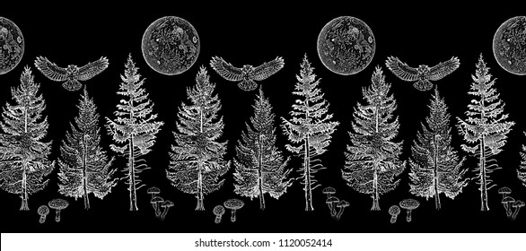 Midnight forest seamless border ornament: spruce, fir tree, mushroom, owl, full moon. Endless horizontal pattern brush. Elements for invitation, greeting card, poster design, decoration, textile print