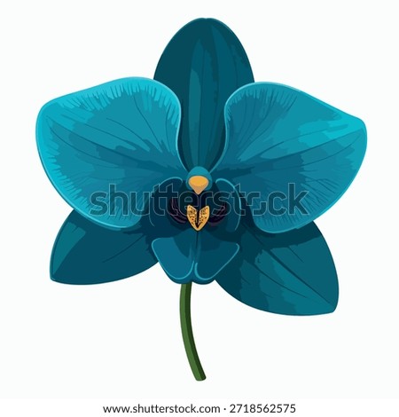 Midnight teal orchid flower isolated on white background. Cobalt orcid flower vector. For  modern brand aesthetics, wedding design, feminine branding, cosmetics, and premium desing element.	