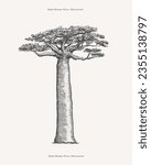 Mighty baobab in engraving style. Hand-drawn giant african savannah plant. Vintage botanical illustration on a light isolated background. 