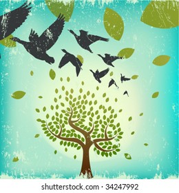 migrating birds