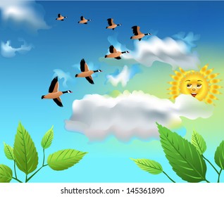 migrating birds flying on the sky
