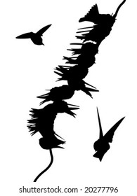 migrating swallows on wire