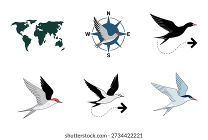 Migration route illustration, flying cranes with compass, world migratory bird day event, navigation workshop session, conservation graphics, eco tourism poster