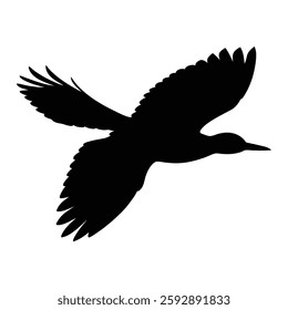 Migratory Bird Vector illustration black silhouette, bird flying , buck bird