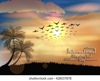 Migratory birds day in sunset light.Vector
