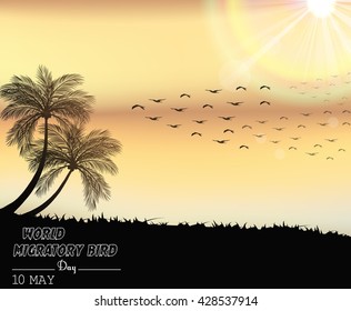 Migratory birds day in sunset light.Vector