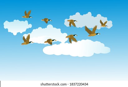 Migratory Birds Fly In The Clouds, Vector