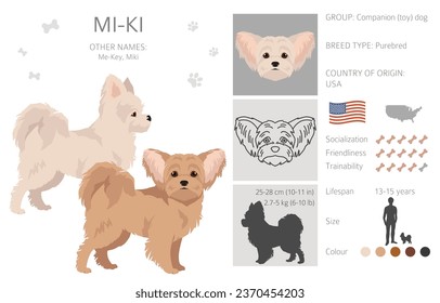 Mi-Ki dog clipart. All coat colors set.  All dog breeds characteristics infographic. Vector illustration