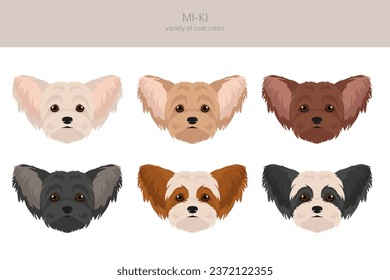 Mi-Ki dog clipart. All coat colors set.  All dog breeds characteristics infographic. Vector illustration