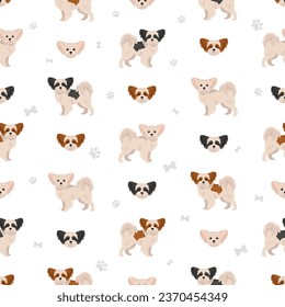 Mi-Ki dog seamless pattern. All coat colors set.  All dog breeds characteristics infographic. Vector illustration