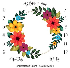 Milestone blanket flower background unisex ( boy + girl) decoration baby shower baby new born month 1, 2, 3, 4, 5, 6, 7, 8, 9, 10,11, 12. editable eps file.