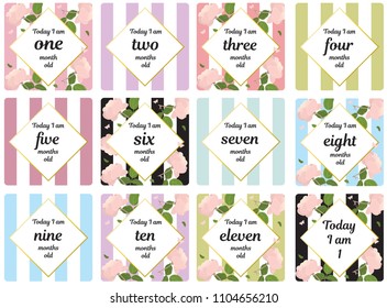 Milestone card baby shower baby newborn month one two three four five six seven eight nine ten eleven month by month year girl room