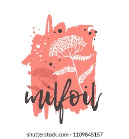 Milfoil concept design. Hand drawn vector illustration. Herbs and spices. Can be used for farmers market, food festival, menu, cafe, restaurant, bar, poster, banner, emblem, sticker, placard.
