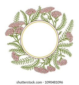 milfoil vector frame