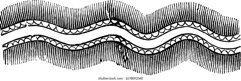 In military affairs, trench by which approach is made to a fortress, when within range of fire. A section of double sap on the serpentine plan, vintage line drawing or engraving illustration.