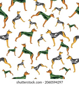 Military dog seamless pattern on white background. Hound dog breed.