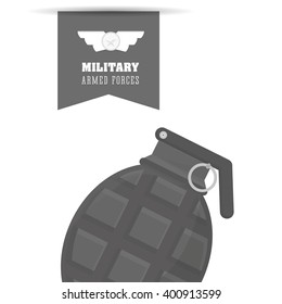 Military grenade design , vector illustration