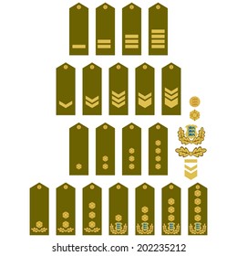 Military ranks and insignia of the world. Illustration on white background.