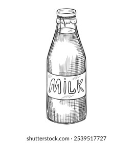 Milk bottle vector illustration. Linear drawing of dairy product painted by black inks. Outline etching for product label or recipe in cookery book. Monochrome line art of beverage for culinary.