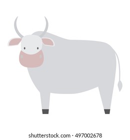 Milk cow bull with calf bull buffalo