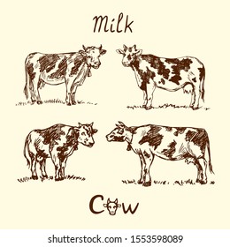 Milk cow collection, hand drawn doodle, sketch in pop art style, vector illustration