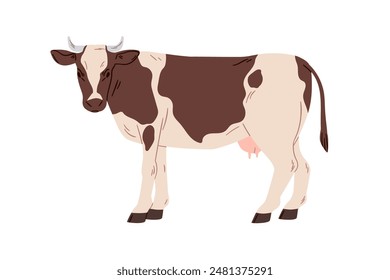Milk cow, dairy farm animal. Domestic country milch cattle, miker livestock standing, looking. Countryside village fauna with udder. Flat graphic vector illustration isolated on white background