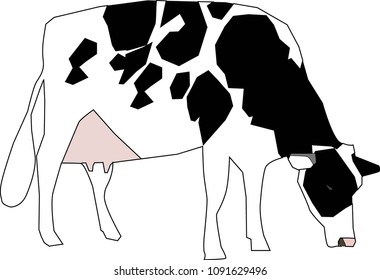 milk cow drawing in vector