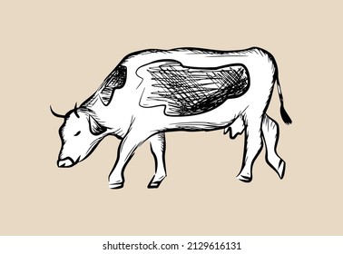 Milk cow line art sketch drawing, farm domestic animal, doodle outline flat style. Graphic isolated icon. Logo design print template. Hoofed horned cattle vintage engraving.