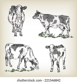 Milk cow set. Hand drawn vector illustration in sketch style
