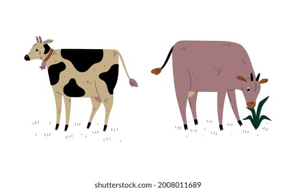 Milk Cow with Udder Grazing on Pasture as Dairy Cattle Breeding and Farming Vector Set