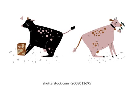 Milk Cow with Udder Grazing on Pasture as Dairy Cattle Breeding and Farming Vector Set