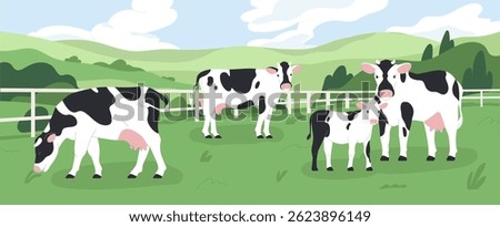 Milk cows grazing on pasture, green farm field, grass. Dairy animal, domestic cattle, livestock eating, walking in countryside, rural country landscape, farmland nature. Flat vector illustration