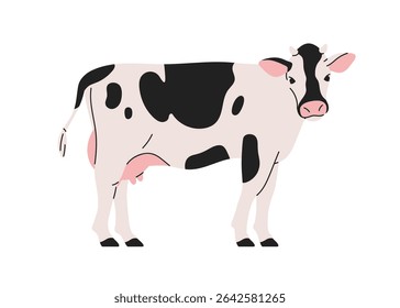 Milk dairy cow, standing in profile, looking with head turned. Spotted cattle, domestic farm animal with udder. Livestock, agriculture fauna. Flat vector illustration isolated on white background