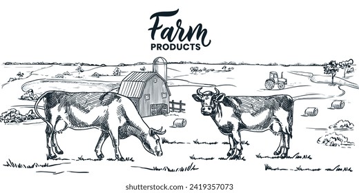 Milk dairy farm hand drawn sketch vector vintage illustration. Cows graze on meadows on countryside fields. Farming and agriculture rural landscape background