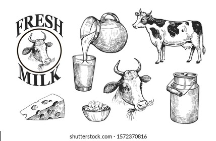 Milk and dairy products. Fresh farm milk, cheese, cottage cheese. Hand drawn illustration converted to vector. Isolated on white background