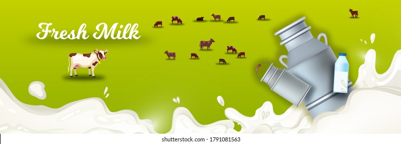 Milk farm background with grazing cows, splash, can, bottle, green field. Natural farming illustration with milk, livestock, meadow. Fresh dairy products concept for packages and advertisements