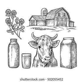 Milk farm elements set. Cow head, clover, carton, glass and bottle. Vector engraving vintage black illustration. Isolated on white background.