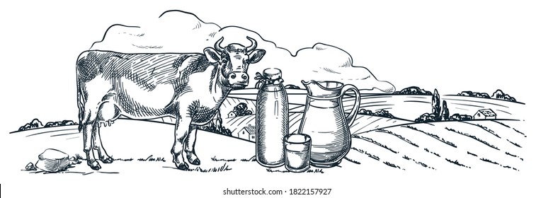 Milk farm and fresh dairy products, hand drawn sketch vector vintage illustration. Cow, bottle and glass jug with milk on countryside fields landscape background