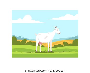 Milk goat on farmland semi flat vector illustration. Domestic animal to produce dairy. Farm pet on ground with grass. Farmland wildlife. Cattle 2D cartoon characters for commercial use