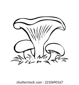 Milk mushroom. Edible forest mushroom. Brown mushroom cap. Delicious nutritious natural food. Healthy ingredient for cooking. Vector art illustration on white background. Hand drawn black sketch