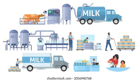 Milk production infographic, flat vector illustration. Cattle farming. Dairy factory milk processing and packaging line. Distribution, sale, consumption. Food industry.