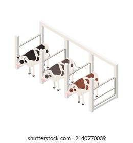 Milk production isometric composition with isolated image of range with cows on blank background vector illustration