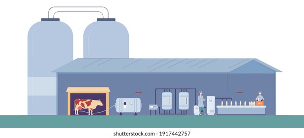 Milk production on factory with equipment, machinery and people working on conveyor belt with milk bottles. Technology industry manufacture dairy food. Vector infographics on white