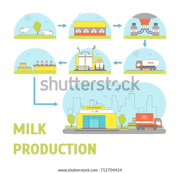 Milk Production Process Stages Cow Supermarket Stock Vector (Royalty ...