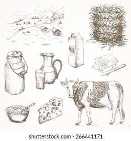 Milk products and cow. Dairy farm set. Hand drawn country illustrations.