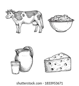 Milk and products sketch set, Cow, sour cream, jar and glass with fresh milk and triangle piece of cheese. Hand drawn dairy products for packages and menus. Vector illustrations.