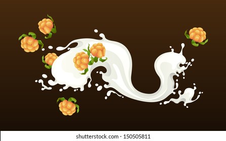 Milk splash with  cloudberries on black background.